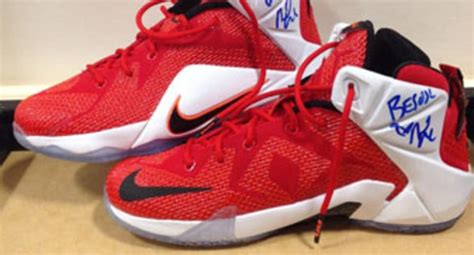 You Can Look (and Possibly Touch) Nikki Bella's LeBron 12s